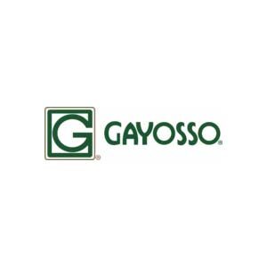 3_gayosso_logo